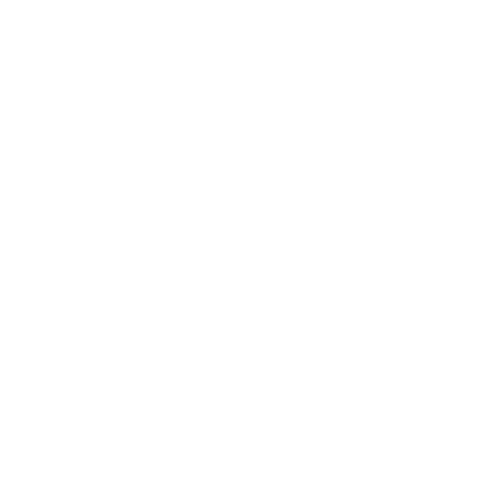 DJ Hulk